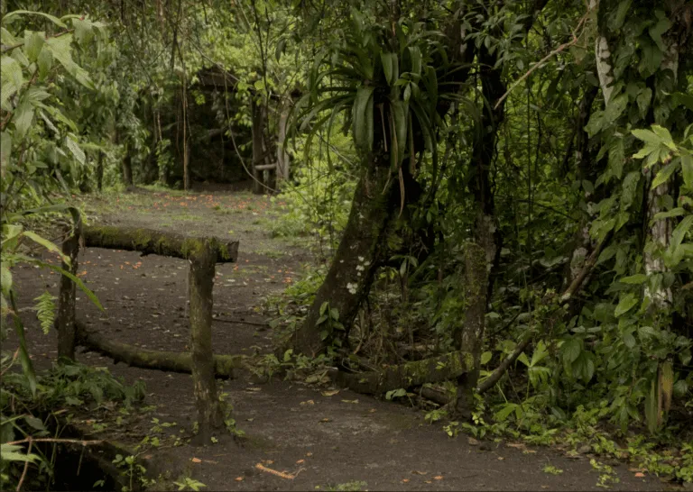 Sendero Bogarin