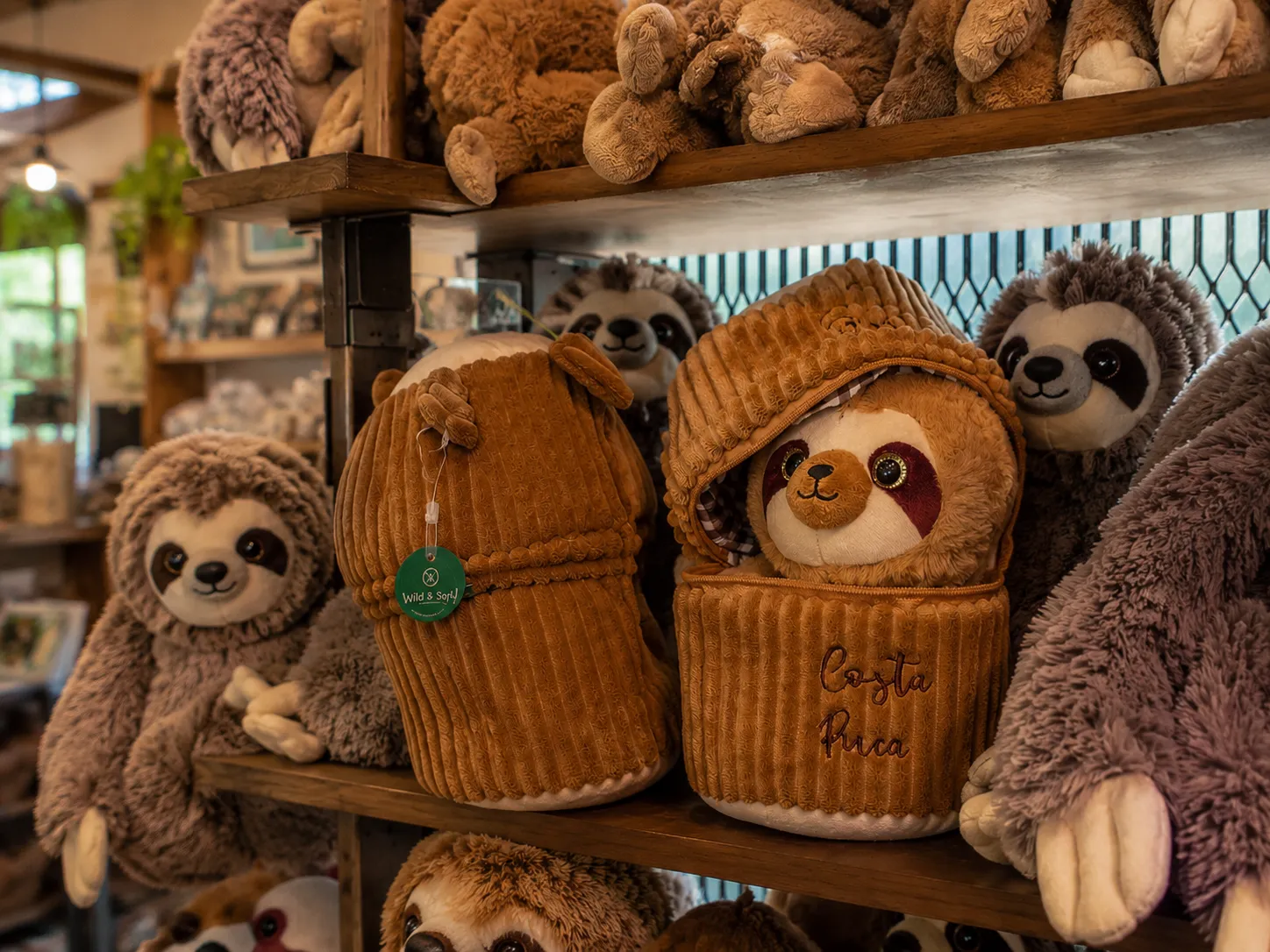 Souvenir Bogarin Trail Shop